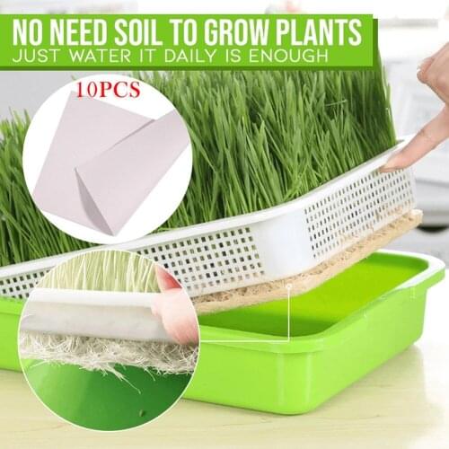 DIY Plant Soil-Free Nursery Pots Sprout Paper Planting Sprout Double-layer Seedling Tray Dish Hydroponic Flower Basket Flower