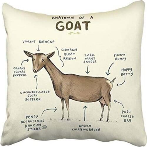 Fashion Decorative Home Style Cotton Throw Pillow Cover Cushion Case Anatomy of a Goat Size 18x18 inches(45x45cm) Two Sided