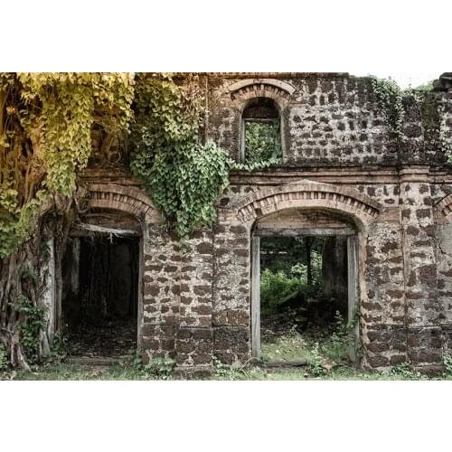 Old brick building backgrounds vintage Photo vinyl photography backdrops for photo Studio Video accessories fotografia lv-818