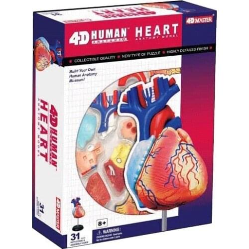 1:1 Life-sized 20parts 4DMASTER Human Deluxe Heart Anatomy Assembly Model Biology Teaching Aid