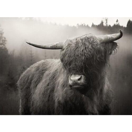 Full Square / Round Diamond Mosaic Animals Picture Of Rhinestone 5D DIY Diamond Painting Cow Cattle Wall Art Nordic Decor GH543