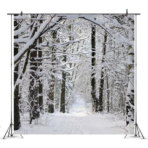 Snow Covered Pine Trees Backdrop White Christmas Fairy Winter Forest Landscape Photography Background New Year Holiday Snowfield