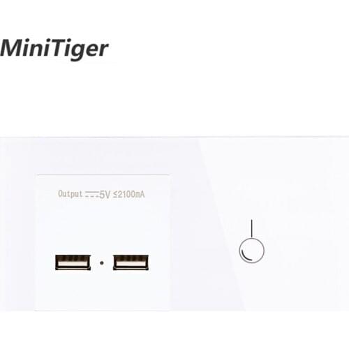 Minitiger EU Standard 1 Gang 1 Way Touch Switch and Power Outlet With Dual USB Smart Induction Charge Port For Mobile 5V 2.1A