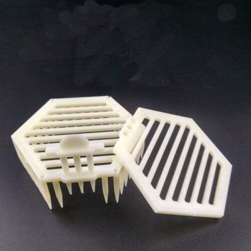 10 pcs Beekeeping Tool Multifunction Sexangle Needle Queen Bee Cage Queen Bee Bearing