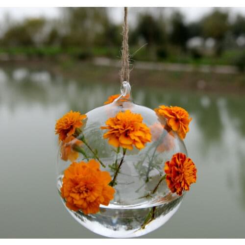 10cm Home European Micro-landscape Ecological Bottle Garden Clear Glass Flower Hanging Vase Planter Terrarium Container