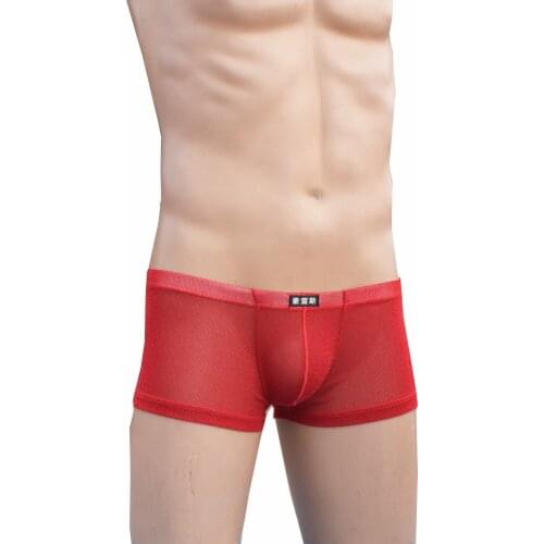 2019 brand HOWE RAY Mens sexy boxer shorts ultra-thin men gay underwear mens transparent grenadine boxers nylon underpants