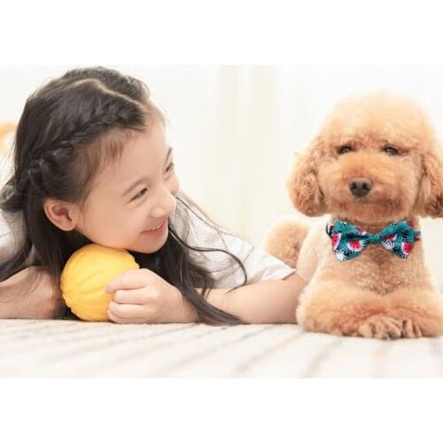 Pet Bowties Collar Tropical Fruit Pattern Pet Products Dog Collar Pet Supplies Dog Decorative Accessories