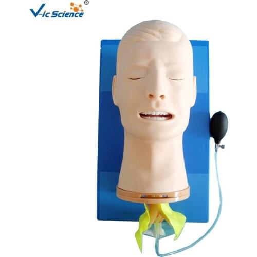 Advanced multifunctional airway management model