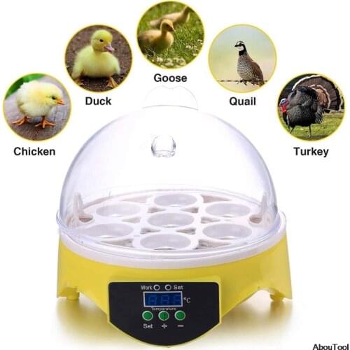 Egg Incubator Poultry Incubator Brooder Digital Temperature Hatchery Egg Incubator Hatcher Chicken Duck Bird Pigeon Mini 7 PCS