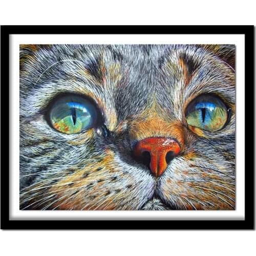 Full Drill Square Diamond 5D DIY Diamond Painting"Cat face"Diamond Embroidery Cross Stitch Rhinestone Painting