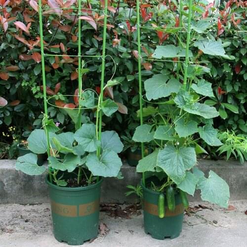 Adjustable Growing Plants Stand Rack Traction Vine Climbing Rack Flower Pot Potted Plant Fixture Basin Stand