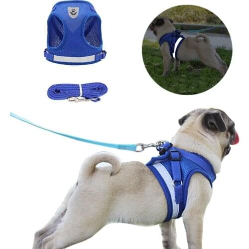Dog Harness Vest Training Leash Soft Mesh Pet Cats for Chihuahua Petshop Puppy Reflective Chest Strap Accessories Supplies