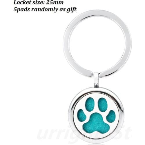 Key Chain Diffuser locket jewelry essential oil Perfume with split key ring 5pad fit pet collar Tortoise Fairy live love dream