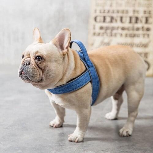 Dog Harness, No-Pull Breathable Adjustable Pet Vest with Handle for Outdoor Walking - No More Pulling, Tugging or Choking