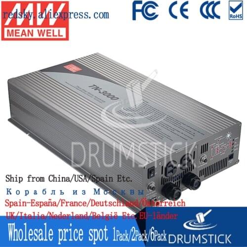 Patriotic MEAN WELL TN-3000-224B EUROPE Standard 230V meanwell TN-3000 3000W True Sine Wave DC-AC Inverter with Solar Charger