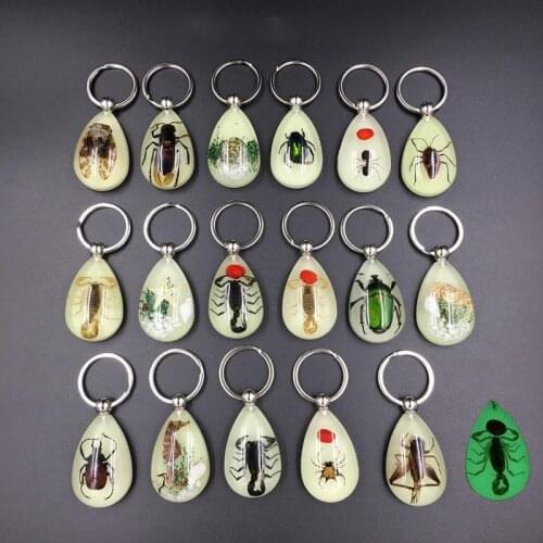 1PC Resin Insect Luminous Key Chain Noctilucent Scorpion Insect Specimen Pendant Tourist Souvenirs Color Random