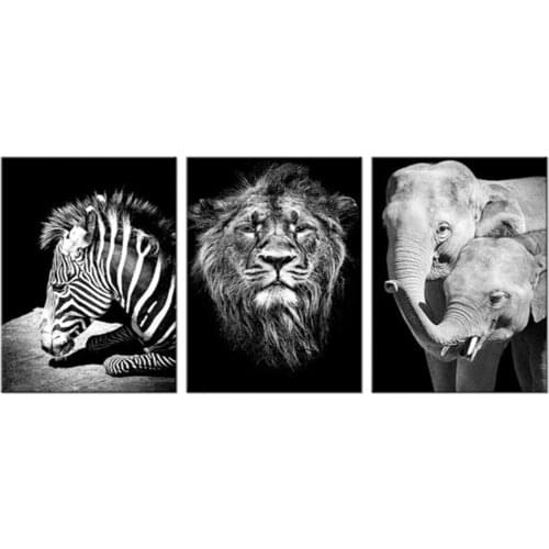 Elephant Zebra Pictures Black White Lion head,diy diamond painting 3pcs cross stitch,diamond embroidery mosaic crafts,home decor