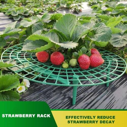 5/10pcs Strawberry Stand Frame Balcony Vegetable Holder Planting Racks Support Plant Flower Climbing Vine Pillar Gardening Stand