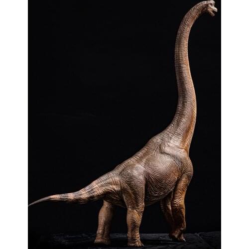2020W-Dragon Brachiosaurus Giraffatitan Dinosaur Toy Model Sculpture Museum Collection 1/35
