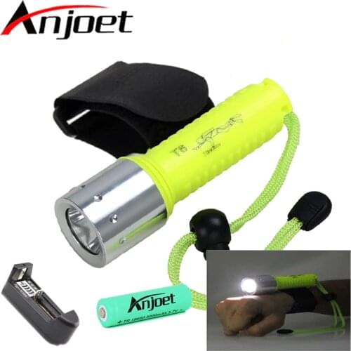 2000 Lumen 10W XML T6 LED Diving Flashlight 80M Underwater Lamp Waterproof LED Torch Flash Light Diver+18650 Battery/Charger