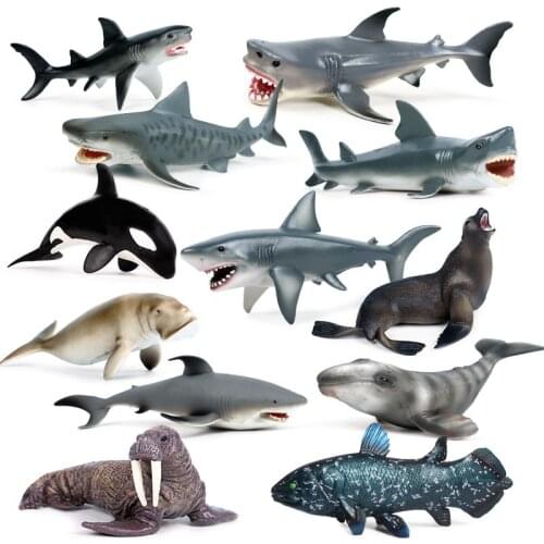 Sea Life Savage Whale Shark Lifelike Baby Shark Toy Anti Stress Squeeze Big Shark Collection Toy for Kid Gift