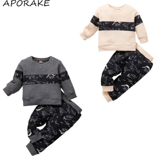 2021 3-24M Casual Infant Baby Boy Clothing Cartoon Dinosaur Patch Long Sleeve Sweatshirt+Long Pants Spring Fall 2pcs Outfits Set