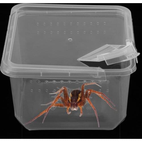 Plastic Insect Spider Habitat Feeding Box Cage Container REUSABLE 12x12x7cm