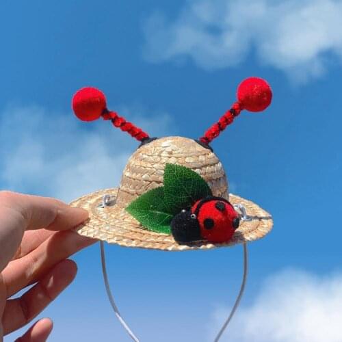 Dog Straw Hat Insect Decoration Knitted Accessories Adorable Wide Brim Hat for Photography
