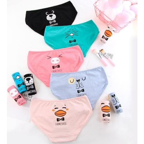 4PCS/LOT Children Girls Cotton Cartoon Panty 10-14Yrs Kids Underpants