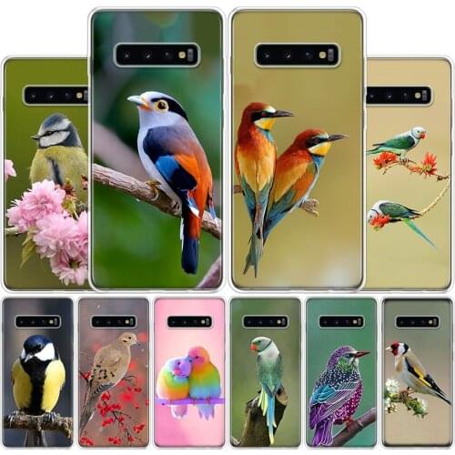 Lovely birds Phone Case For Samsung Galaxy A51 A71 A50S A30S A10 A20E A40 A70 M30S A91 A01 A6 A7 A8 A9 Plus + Cover