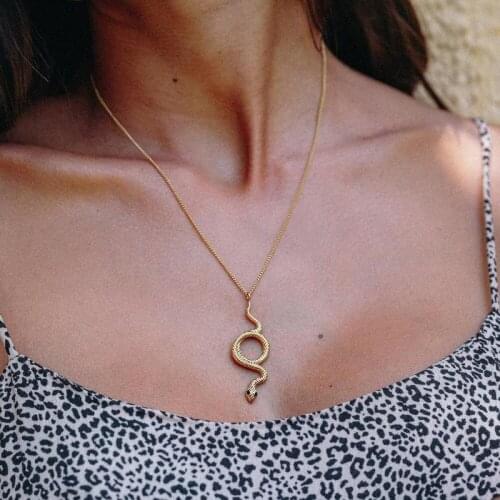 Mavis Hare Snake Pendant Necklace Stainless Steel Nahesa Chain Necklace To ward off bad luck as Woman best Gift