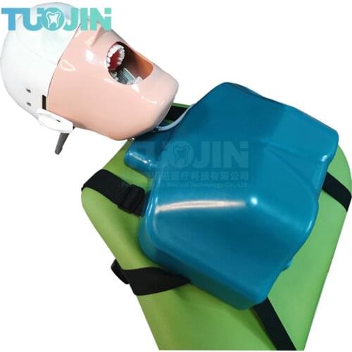 Cheap C4 Type Dental Simulation Head Model Dental Implant Model Dentistry Manikins Phantom Head Sennior Dental Training Model