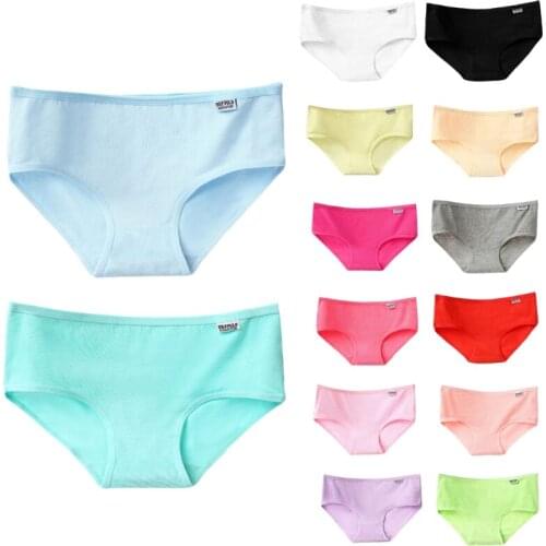 Women 2XL Size Cotton Briefs Candy Solid Color Panties Low Waist Underwear Soft T3LC