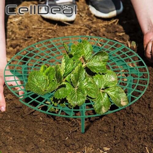 5/10/15/20PCS Strawberry Stand Frame Holder Balcony Planting Rack Fruit Support Plant Flower Climbing Vine Pillar Gardening Tool