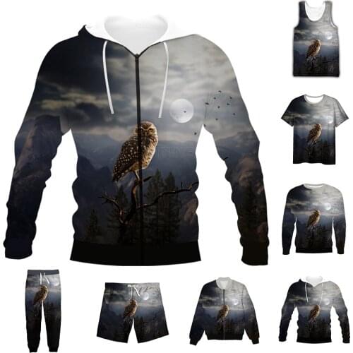 New Fashion 3D Full Print Animal Bird Owl T-shirt/Sweatshirt/Zip Hoodies/Thin Jacket/Pants Four Seasons Casual Suit V27