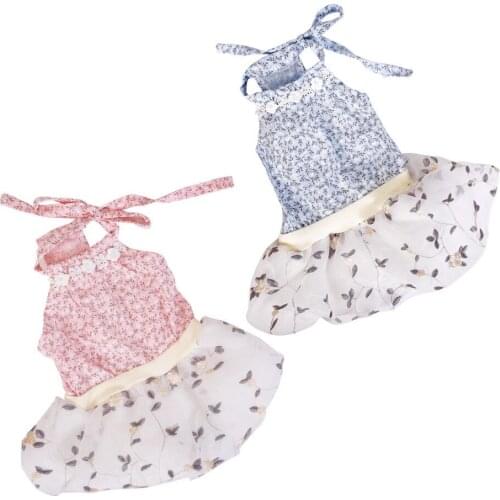 Cat Clothes Spring And Summer Pet Thin Style Mesh Lace Princess Spring And Summer Dress