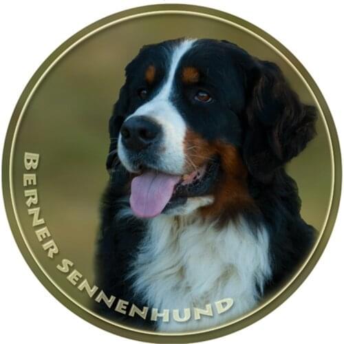 S40352# Various Sizes PVC Decal Berner Sennenhund Dog Car Sticker Waterproof For Bumper Rear Window Laptop Refrigerator Toilet