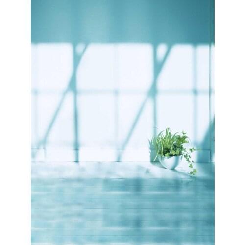 Hazy backgrounds dress photo vinyl French window photography backdrops for photographer studio kits accessories photocall S-2026