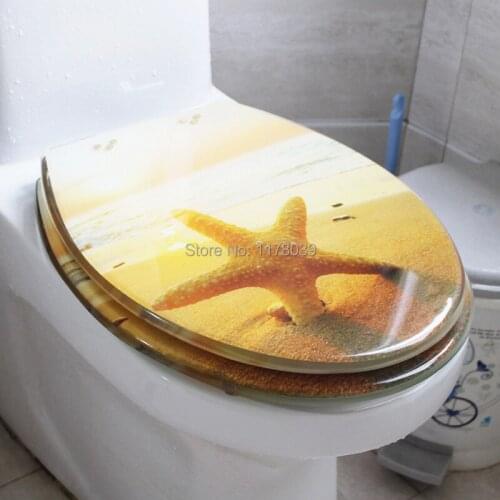 UVO type universal Thicken resin Slow-Close Resin toilet seat lid,Ocean Beach Painting art buffer resin toilet seat cover,J18012