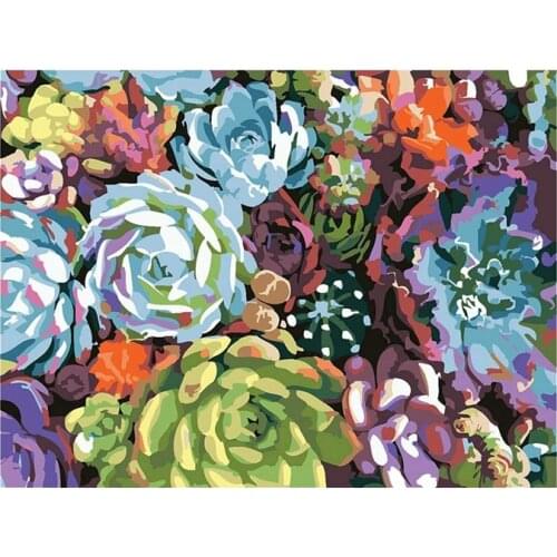 AF89 DIY Paint By Number for Beginner,Succulents Oil Painting Acrylic for Adults Kids,for Home Decor 16X20Inch(No Frame)