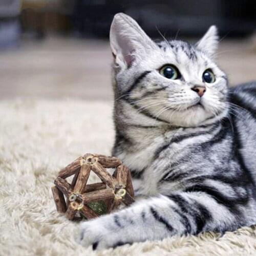 Small CuteCatnip Ball Cat Toys Interactive Toy For Kitten Cleaning Cats Teeth Healthy Catnip Wooden Balls Pet supplies