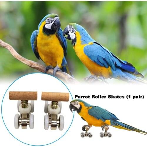 Peitten Bird Rings