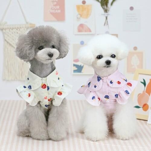 Cat Shirt Dog Summer Clothes Doggie Puppy Yorkshire Maltese Shih Tzu Pomeranian Poodle Schnauzer Pet Clothing Blouse Dog Costume
