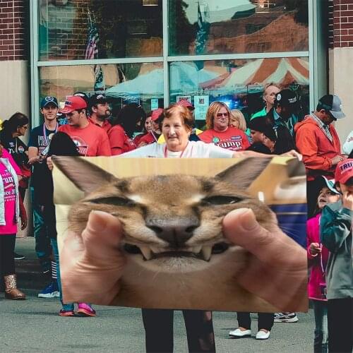 Floppa Cute 546 Flag Banner Home Outdoor Gift Party Flag Anime Satan Flag Of Armenia