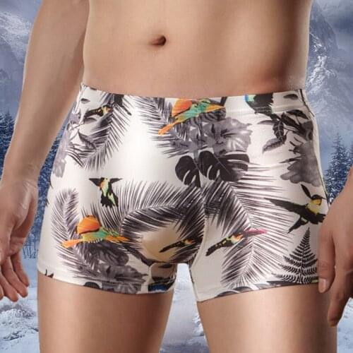 DENNYLITER Cartoon Underwear Men Cuecas Boxer Men Shorts Plus Size Ice Silk Print Boxers Panties Shorts Sexy Mens Shorts
