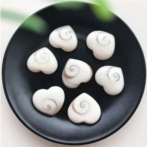 2pcs Natural Fossil Sun Shell Love DIY Mineral Specimen Collection Decoration