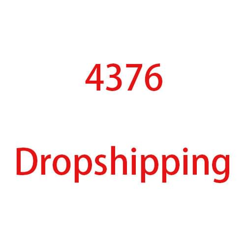 4376 dropshipping