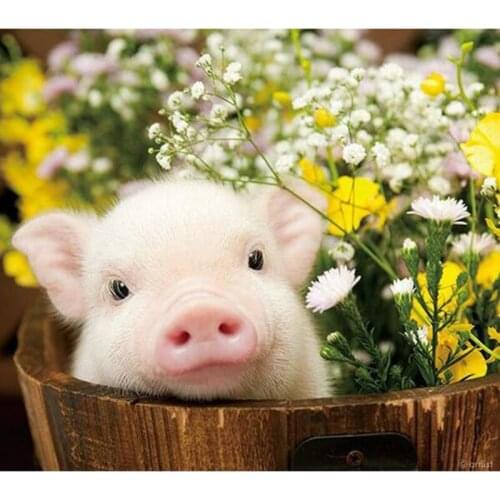 NEW DIY Diamond Embroidery,pattern 5D Diamond painting,Diamond mosaic,icon cross stitch animal pig,needlework,Crafts decor L459