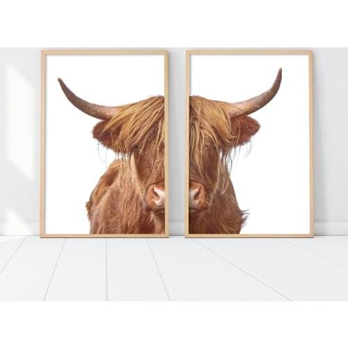 Highland Cow Wall Art Aniamal Photos Modern Farmhouse Decor Minimalist Brownish Yellow Cattle Canvas Paintings for Bedroom