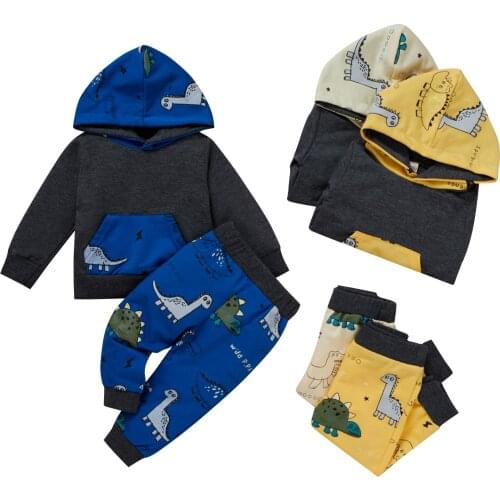 Citgeett Autumn Infant Baby Boys Outfits Dinosaur Print Long Sleeve Hoodie Pocket + Trousers Clothes Set